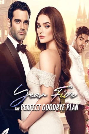 Year Five: The Perfect Goodbye Plan